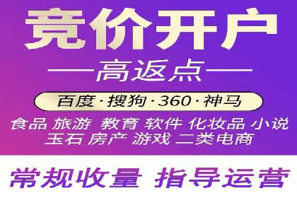 SEM竞价推广案例：打造行业领先的广告投放策略