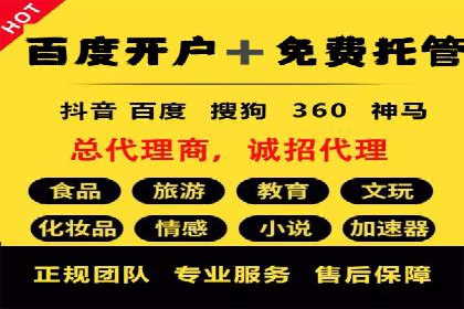 竞价端口开户全攻略，案例分析